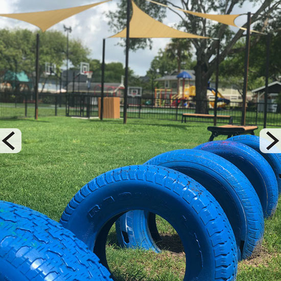 Bark Park
